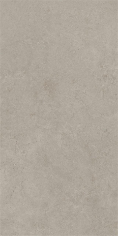 Gresie - Gresie portelanata, Boost Vision Grey Matte HCJW 60×120 cm, gri, finisaj mat