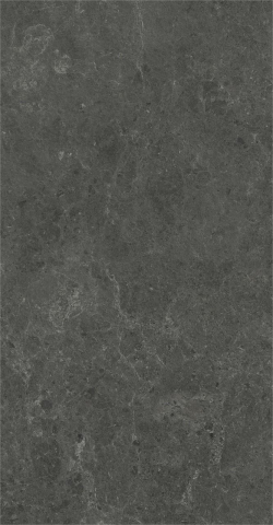 Gresie portelanata, Nyra Charcoal Matte HCQ9 60×120 cm, gri, finisaj mat [1]