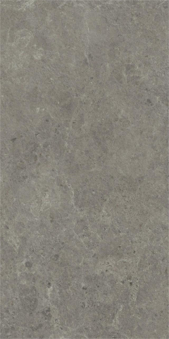 Gresie portelanata, Nyra Meteor Matte HCQ8 60×120 cm, gri, finisaj mat [1]