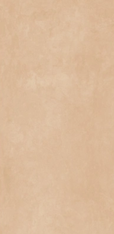 Gresie exterior - Gresie rectificata, Color Poudre 924914, 60x120 cm, bej, finisaj mat