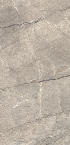 Gresie exterior - Gresie rectificata tip marmura, Anima Futura Amazing Silver 60X120cm, gri, finisaj mat