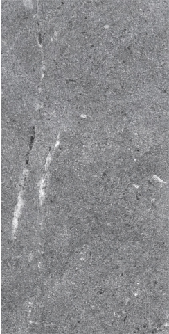 Gresie interior - Gresie tip ciment, California Graphite 62360110, 30x60cm, gri, finisaj mat