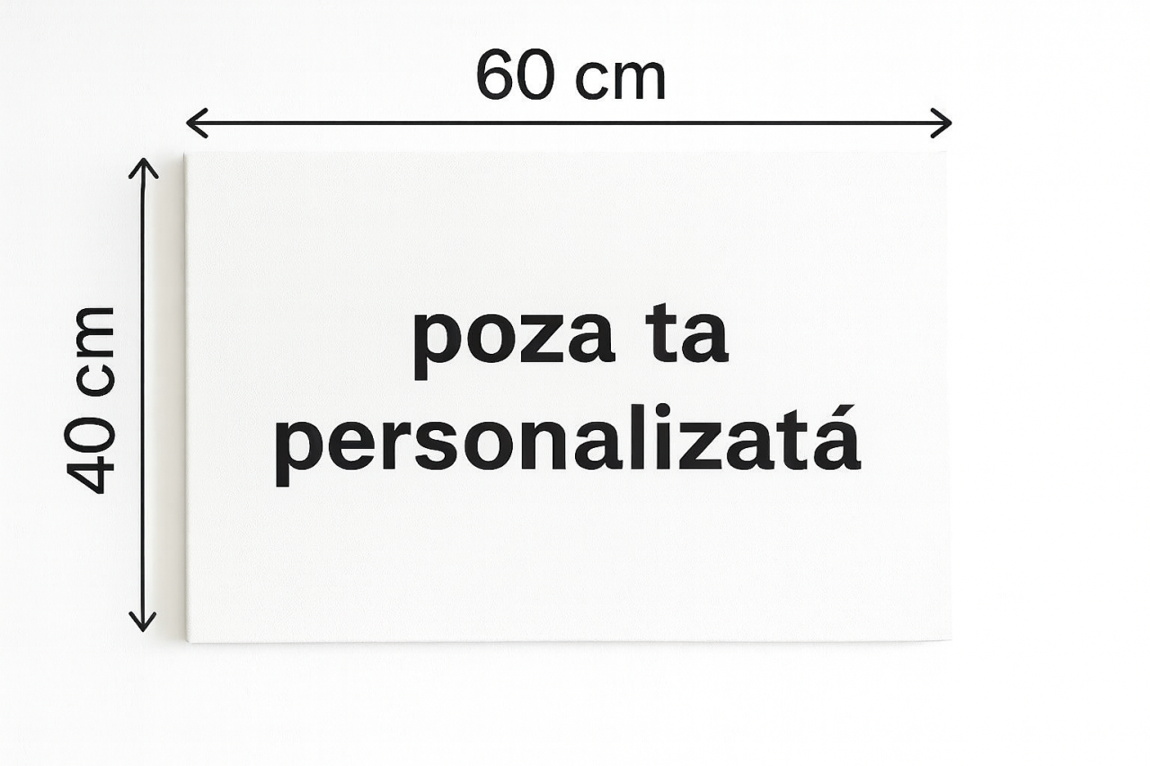 Tablou Canvas 40x60 [1]