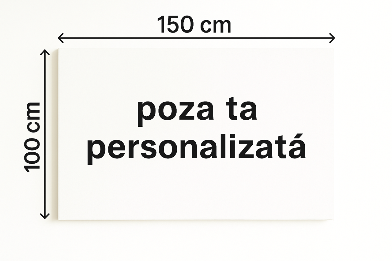 Tablou Canvas Pânză 100x150 [1]