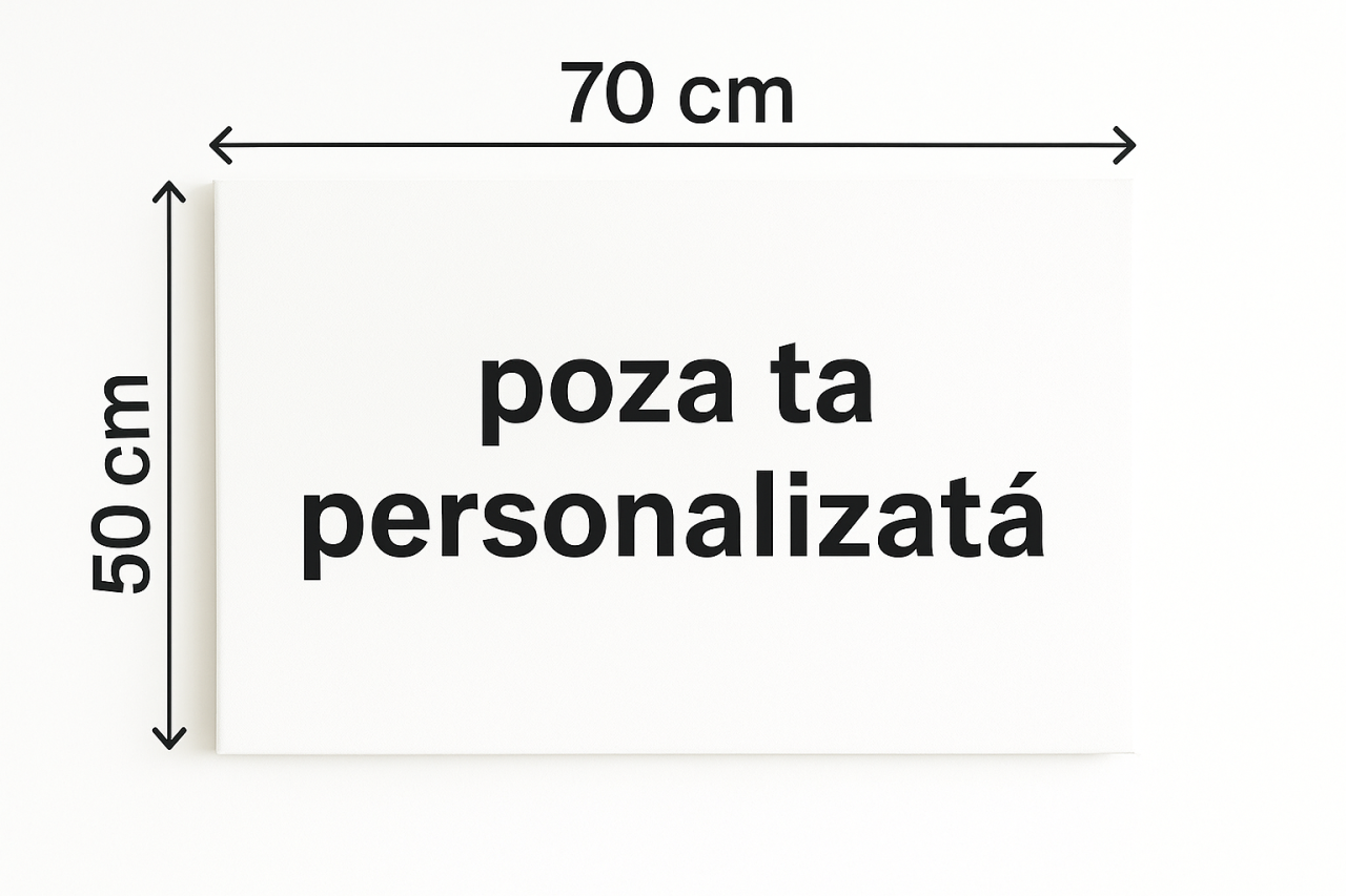 Tablou Canvas Pânză 50x70 [1]