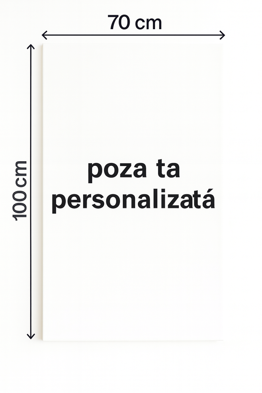 Tablou Canvas Pânză 70x100 [1]