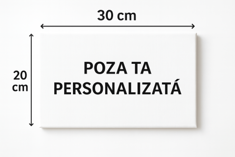 Tablouri Canvas pe pânză - Tablou Canvas 20x30
