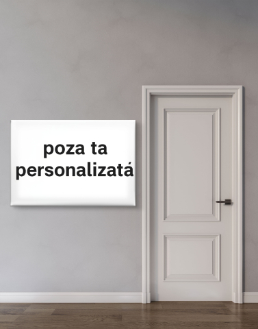 Tablouri Canvas pe pânză - Tablou Canvas 40x60