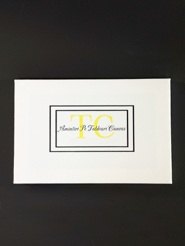 Tablou Canvas 40x60 [2]