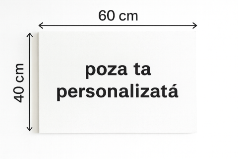 Tablouri Canvas pe pânză - Tablou Canvas 40x60