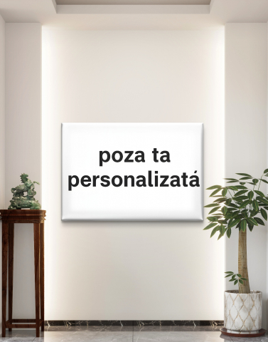 Tablouri Canvas pe pânză - Tablou Canvas Pânză 40x40