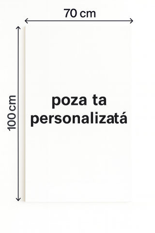 Tablouri Canvas pe pânză - Tablou Canvas Pânză 70x100