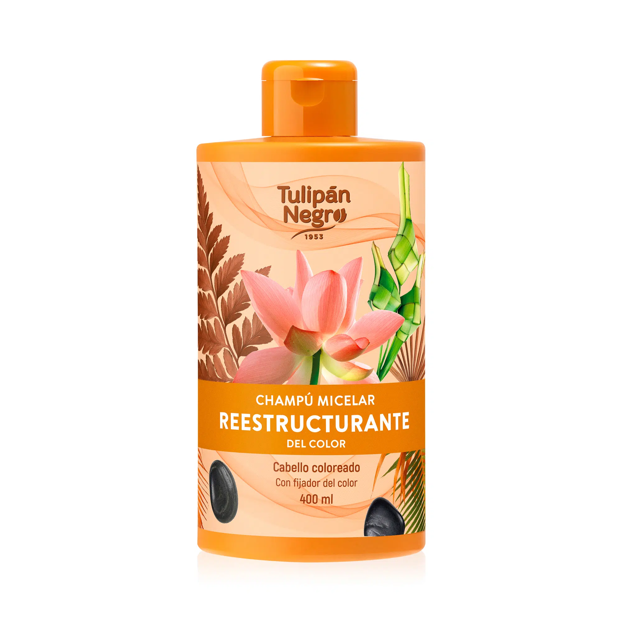 Ingrijire par - Tulipan Negro Șampon Micelar Restructurant Par Vopsit 400ml