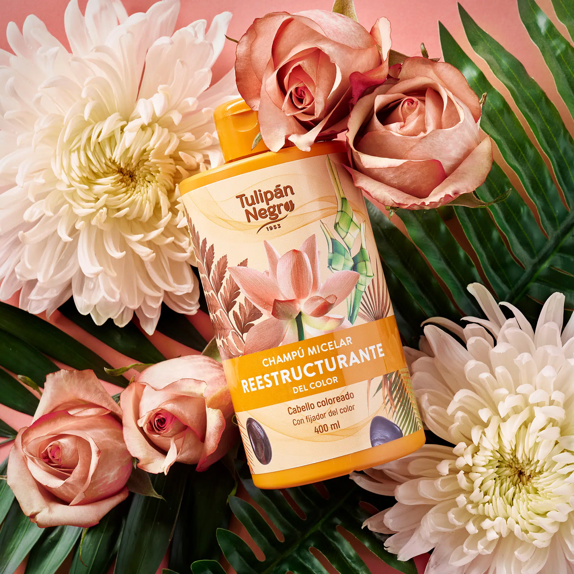 Tulipan Negro Șampon Micelar Restructurant Par Vopsit 400ml [1]