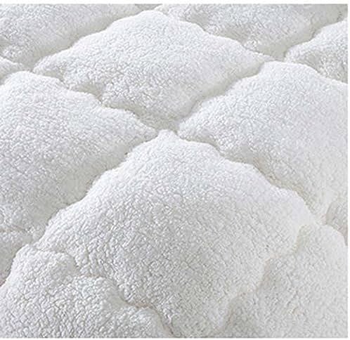 Pilotă cu Blană [2]