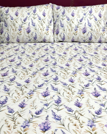 Set lenjerie Bumbac Ranforce - Lenjerie de pat din bumbac ranforce 100% - Elvoria