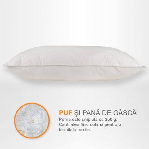 Produse pentru Casă - Perne cu Puf și Pană de Gâscă, 40*40, Alb