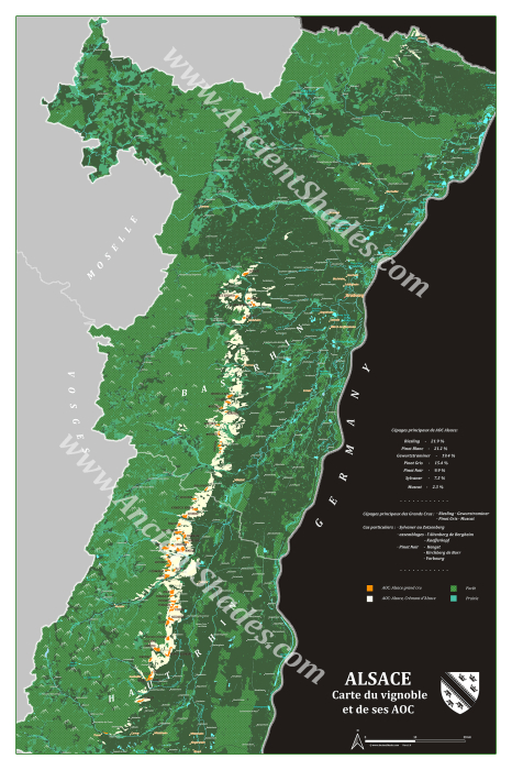 Wine map of Alsace, dark cartographic edition [3]