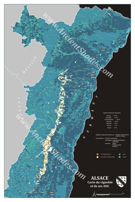Wine map of Alsace, dark cartographic edition [2]