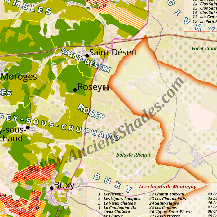 Côte Chalonnaise wine region in Burgundy. [3]