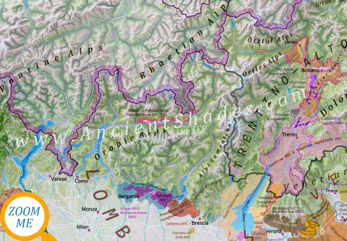 Wine map of Italy [7]