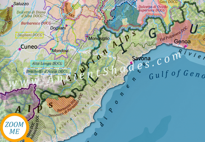 Wine map of Italy [4]