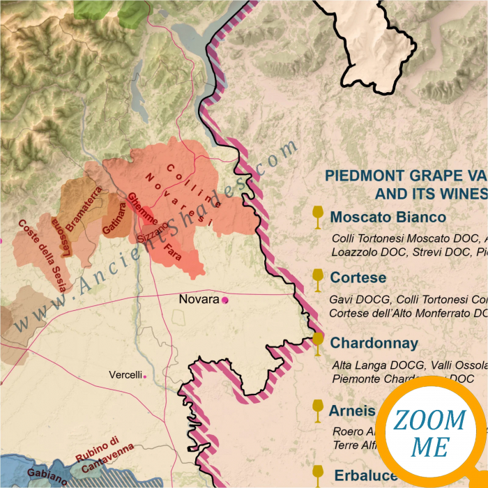 Wine map of Piedmont [5]