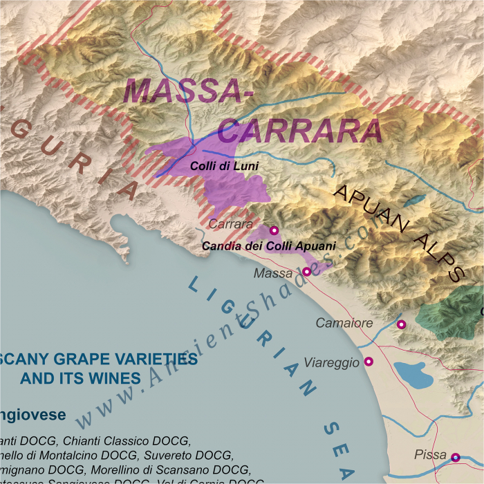 Wine map of Tuscany [4]