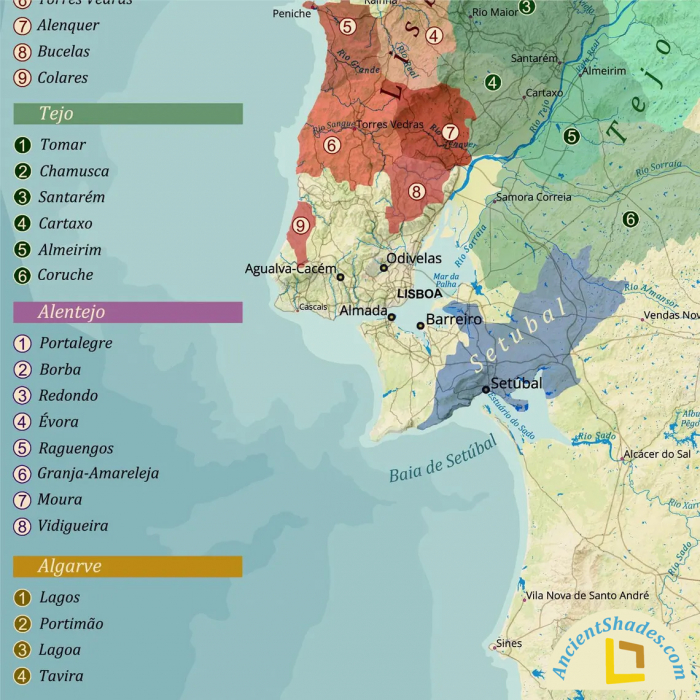 Wine map of Portugal [3]