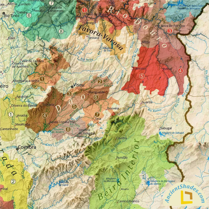 Wine map of Portugal [5]