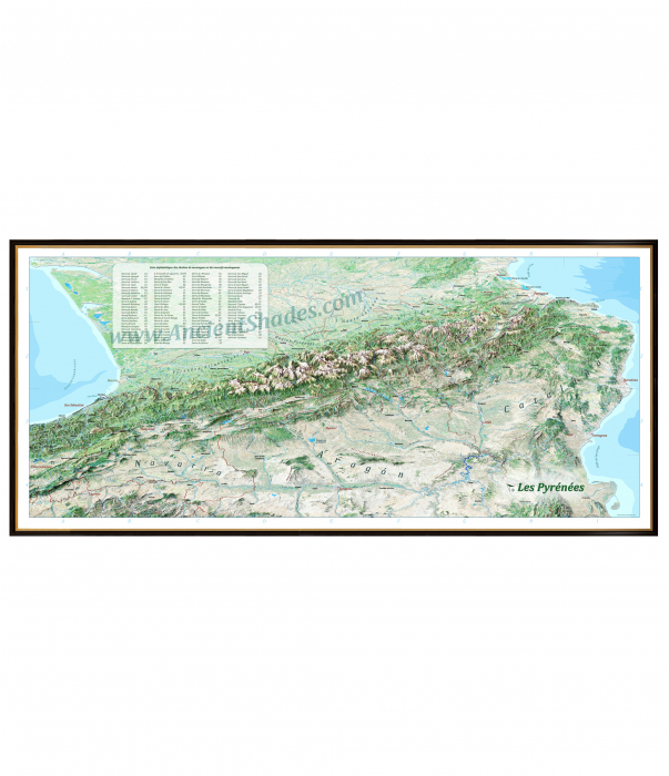 Perspective Relief Map of the Pyrenees [1]