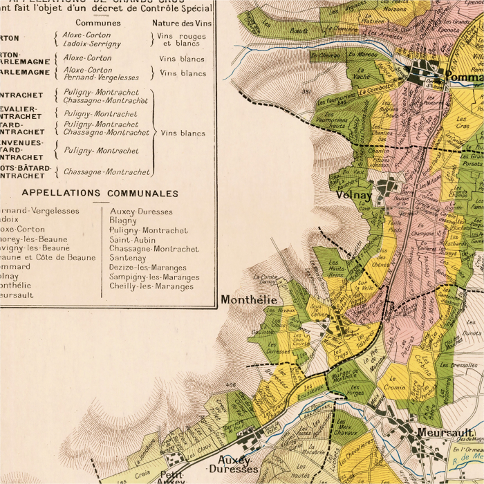 La Côte de Beaune wine map. [3]