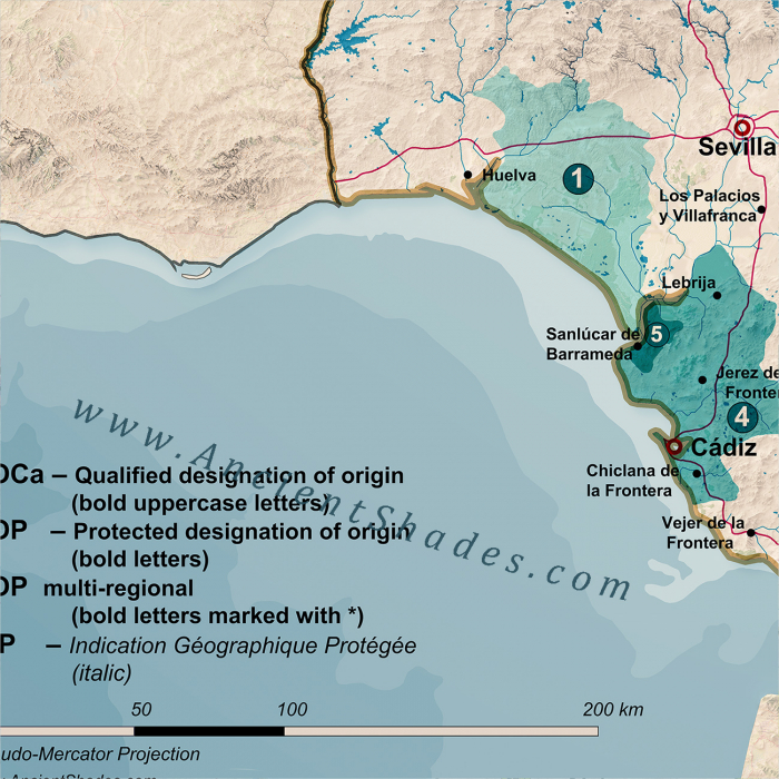 Wine map of Spain [5]