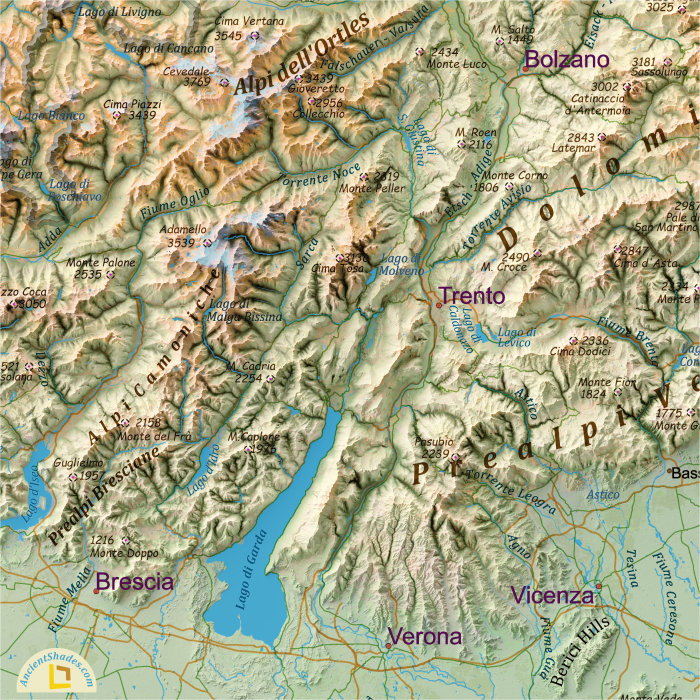Relief map of The Alps [2]