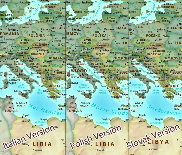 Political world map [5]