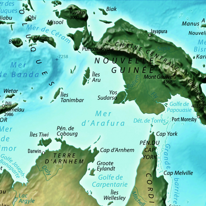 Relief map of The World [8]