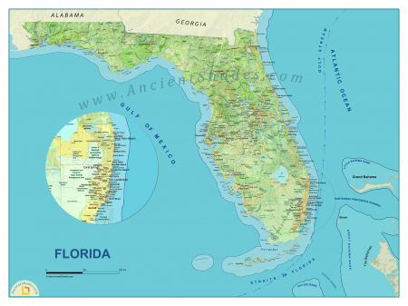 Florida physical map [1]
