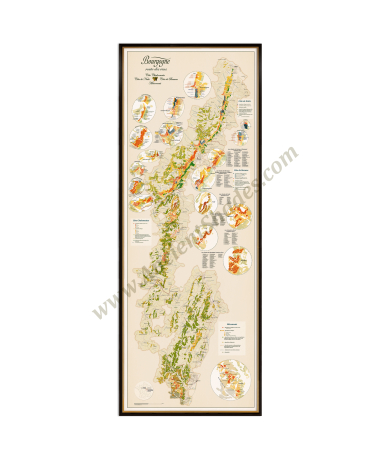 Wine maps - Burgundy Wine Map
