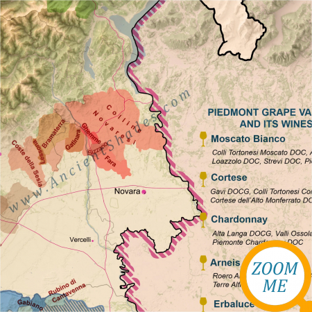 Wine map of Piedmont [4]