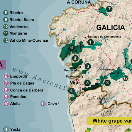 Wine map of Spain [3]