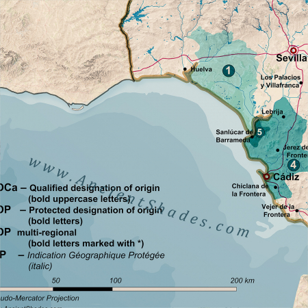 Wine map of Spain [4]