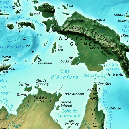 Relief map of The World [7]