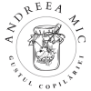 Andreea Mic - Gustul Copilăriei