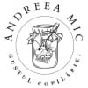 Andreea Mic - Gustul Copilăriei