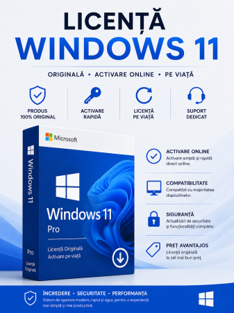 Web & IT - Licență Windows 11