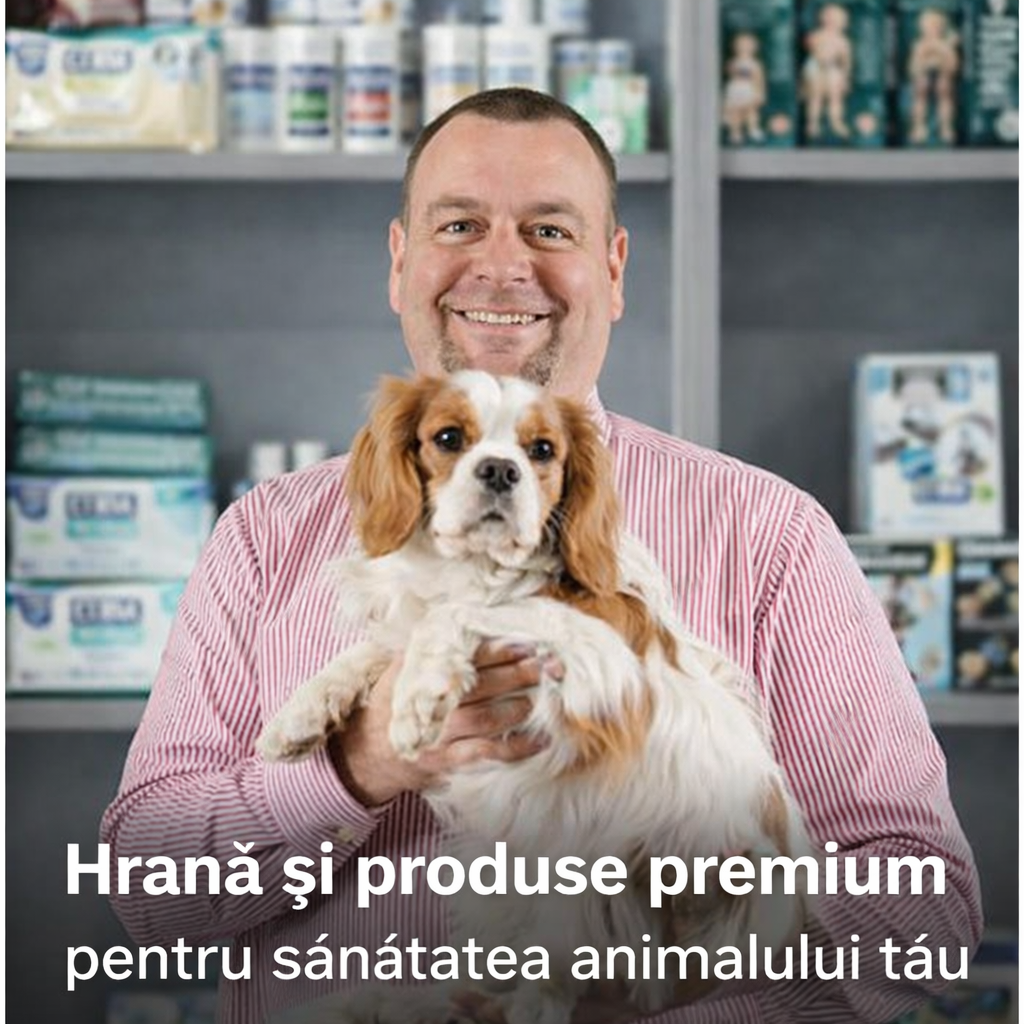 De ce tot mai mulți stăpâni aleg Dr.Trend?