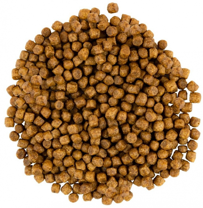 Hrană uscată completa Savory pentru pisoi - cu carne proaspătă de curcan și pui, 8 kg  [2]