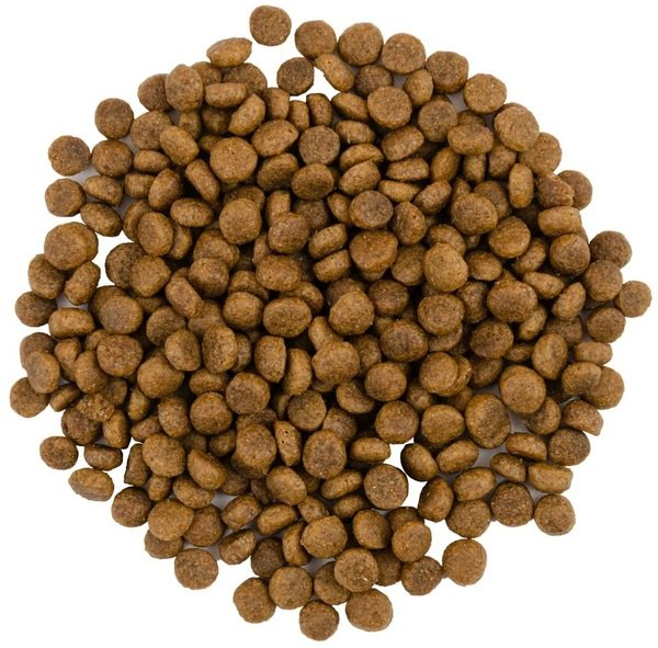 Hrana uscata completa Savory pentru pisisci - cu carne proaspata de curcan si rata, 400g [4]