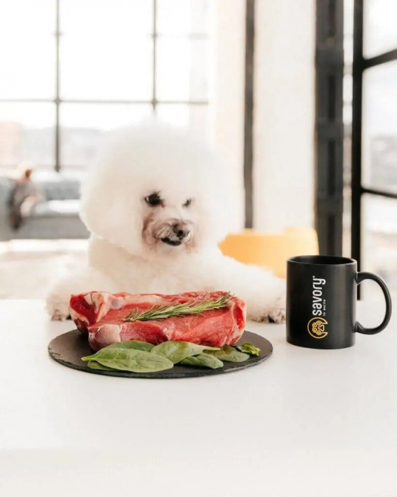 Hrană uscată completa Savory Sterilised pentru câini de toate rasele - bogată în curcan proaspăt, 12 kg [2]