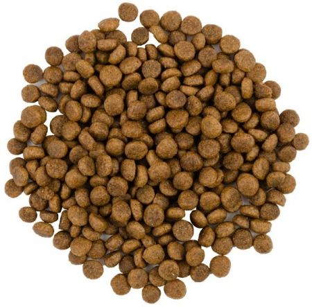 Hrana uscata completa Savory pentru pisisci - cu carne proaspata de curcan si rata, 400g [3]